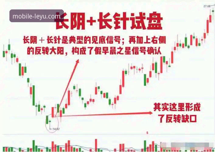 最新乐鱼最新活动 资深用户张明远:深度解析乐鱼体育平台最新活动趋势与实战体验